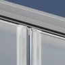 Душевая дверь RGW PA-111 (Матовое-Сатинат, 1500мм)