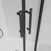 Душевой угол Veconi Evo 200 B, 1200х800x1950, черный матовый, прозрачное стекло
