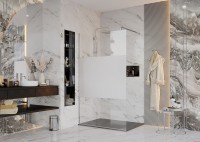 Душевая перегородка Ambassador Walk-in 15034125 (120х200) хром,стекло прозрачное с матовой полосой,1 место