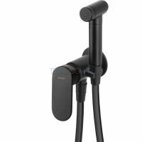 Смеситель для биде, скрытого монтажа, с лейкой типа бидетта