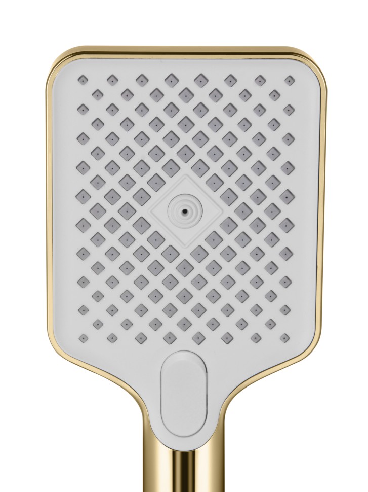 Душевая насадка 3 режима, полированное золото OSGARD ENDI 9010