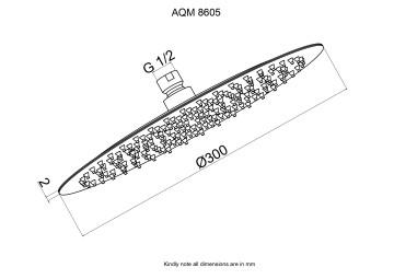 AQM8605CR Верхний душ O300 мм, нержавеющая сталь, Хром
