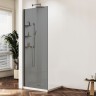 Душевая перегородка Walk-In VSW-1HWS120CGGM, 1200*2000, вороненая сталь, стекло тонированное