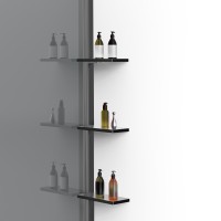 Душевая перегородка Walk-In VSW-1HWS120CGGM, 1200*2000, вороненая сталь, стекло тонированное