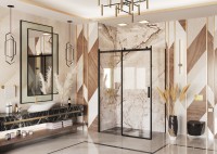 Душевое ограждение Ambassador Benefit 19021205HB-90HB (160х90х200) прямоугольник,черный,стекло прозрачное,раздвижная,2 места