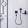 Крючок двойной Hansgrohe AddStoris, Черный матовый, 41755670
