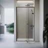 Душевая дверь Veconi Vianno VN-26B, 900x1950, черный, стекло прозрачное