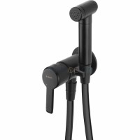 Смеситель для биде, скрытого монтажа, с лейкой типа бидетта