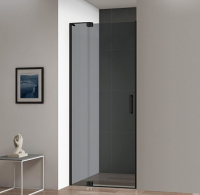 Стекло двери CEZARES SLIDER-B-1-100/110-GL-DOR-GR
