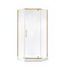 Душевое ограждение Niagara Nova NG-6434-08GOLD (100х100х195) трапеция,золото,двери распашные,стекло прозрачное,1 место