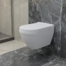 Унитаз Nord 133T20101 (535*385*360) БЕЛЫЙ МАТОВЫЙ подвесной, 1 место