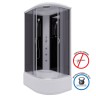 Душевая кабина Niagara Classic NG-2510-14LG (120х80х215) высокий поддон(40см),стекло тонированное,4 места