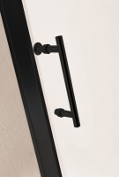 Душевая дверь CEZARES ECO-O-BF-1-120-C-NERO