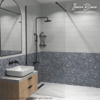 Душевая перегородка IBERICA BLANCA Mod.602 Walk In прозрачное стекло/черный 90х200см (IB602.SB.200.90)