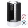 Душевая кабина Niagara Classic NG-2510-14RBKTG (120х80х210) высокий поддон(40см),стекло тонированное,4 места