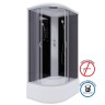 Душевая кабина Niagara Classic NG-2510-14R (120х80х215) высокий поддон(40см),стекло тонированное,4 места