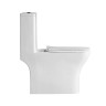 Унитаз-моноблок с сиденьем BelBagno NEON BB8617CPR-MN/SC