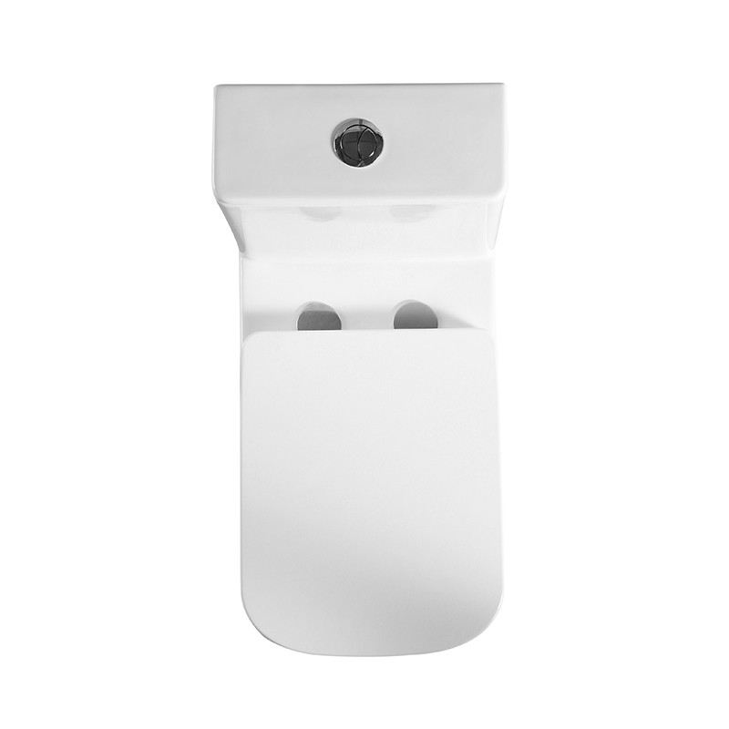 Унитаз-моноблок с сиденьем BelBagno NEON BB8617CPR-MN/SC