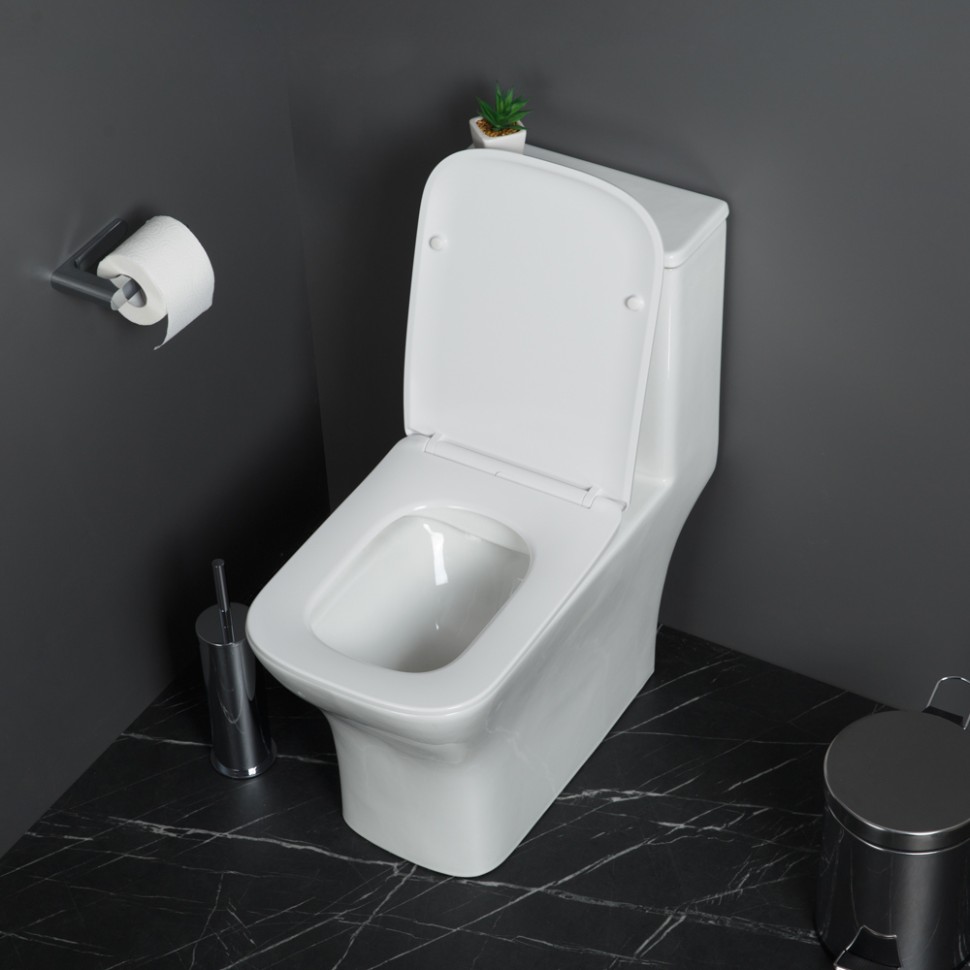 Унитаз-моноблок с сиденьем BelBagno NEON BB8617CPR-MN/SC