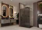 Душевая перегородка Ambassador Walk-in 15032216 (120х200) черный,стекло тонированное,1 место