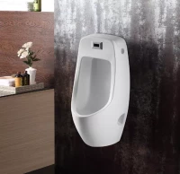 Писсуар подвесной , сенсорный ,слив в пол . CeramaLux Х546S