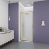 Душевая дверь Veconi Ottimo P30 G, 900x1900, золото брашинг, стекло матовое