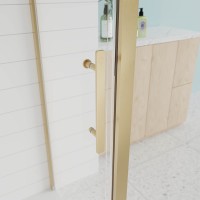 Душевой угол Veconi Evo 100SP G 1700х800x1950, золото брашинг, прозрачное стекло