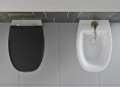 Сиденье для унитаза GSI MODO+ MS84C08 SoftClose, цвет матовый Creta