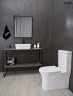 Раковина Gid N9028 51233 накладная белая 53x36x14