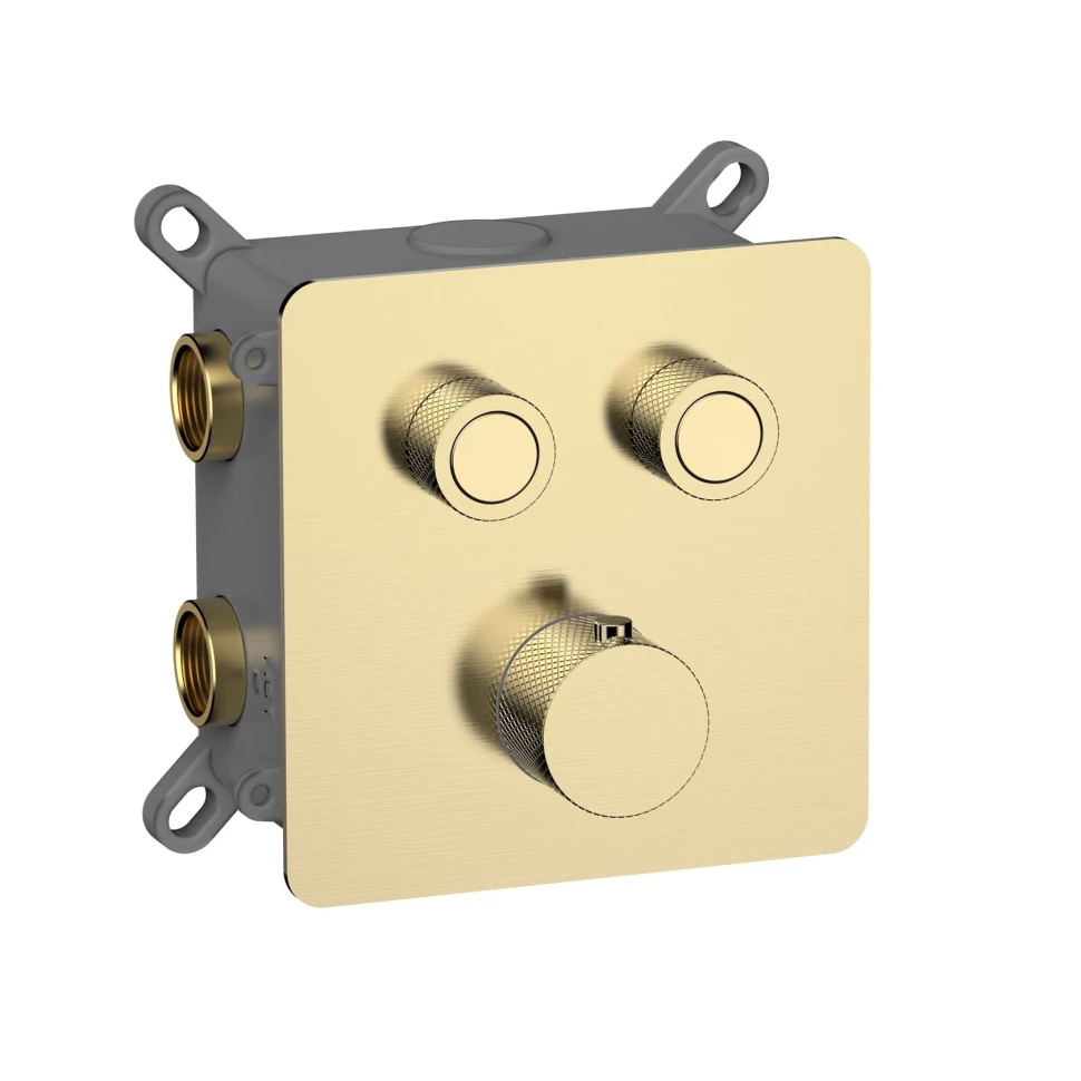 Смеситель с термостатом встраиваемый на 2 потребителя комплект с монтажной частью AQM8811BG