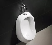 Писсуар подвесной , кнопочный CeramaLux Х541S