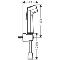 Гигиенический душ Hansgrohe Bidette, настенный, 1 jеt, цвет: хром 29234000