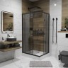 Душевой уголок Niagara Eco NG-012-14QT (120х80х195) низкий поддон(13см),черный,стекло тонированное,2 места