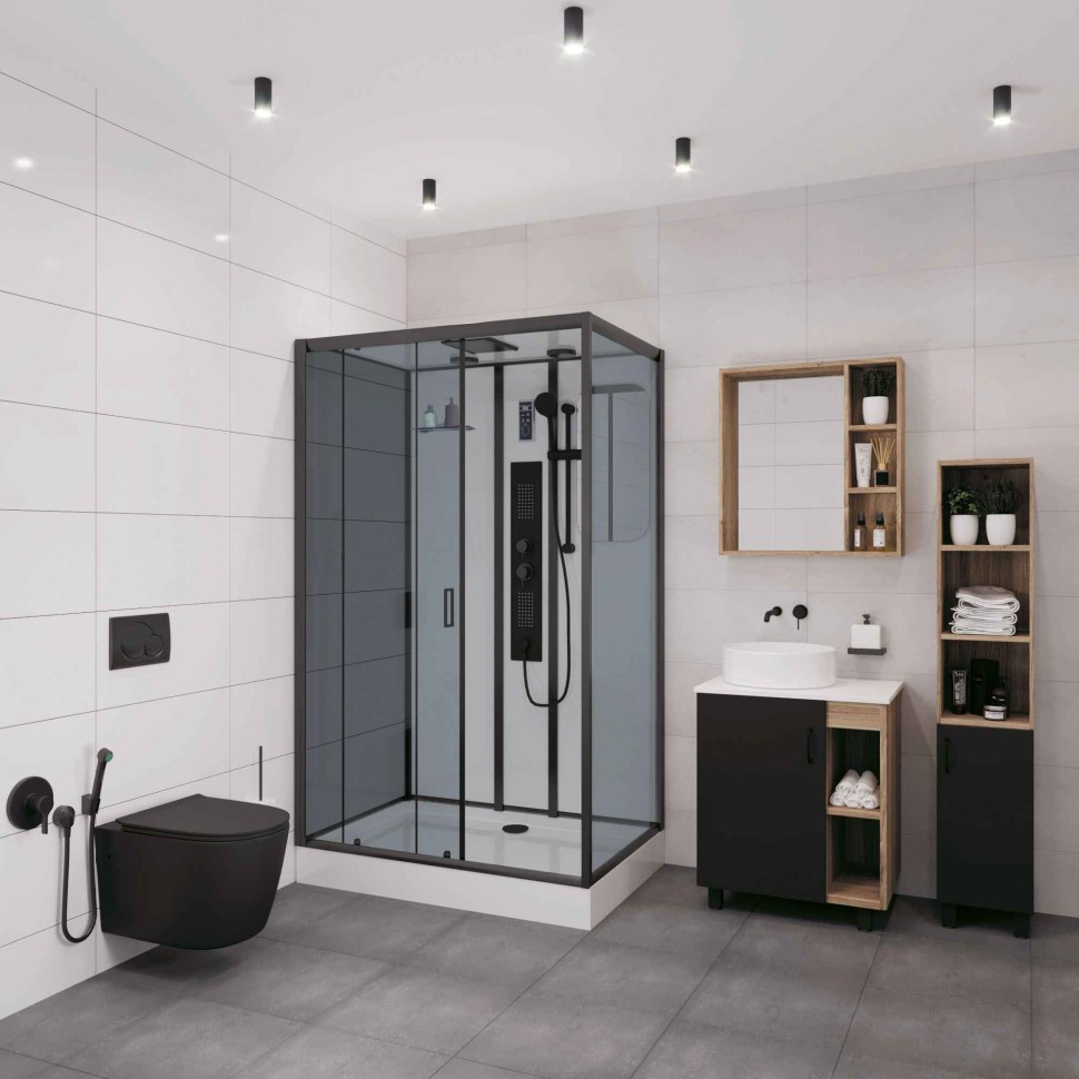 Душевая кабина Niagara Premium NG-6912-01GQL BLACK (120х80х210) низкий поддон(16 см),черный,стекло тонированное,5 мест