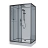 Душевая кабина Niagara Premium NG-6912-01QR BLACK (120х80х210) низкий поддон(16 см),черный,стекло тонированное,4 места
