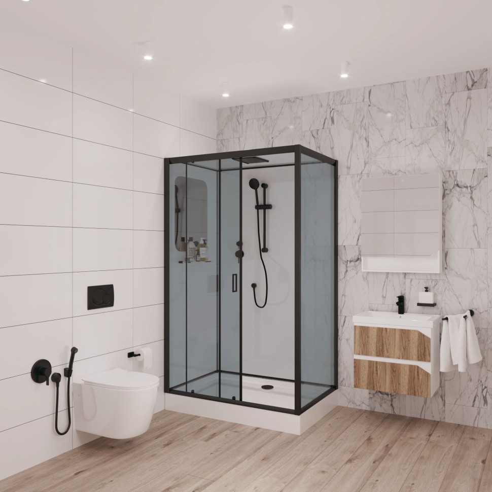 Душевая кабина Niagara Premium NG-6912-01QR BLACK (120х80х210) низкий поддон(16 см),черный,стекло тонированное,4 места