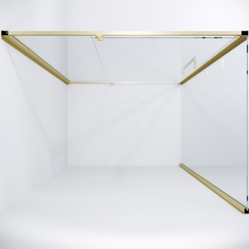 Душевое ограждение Niagara Nova NG-45-9ASG-A100SG-34 (90х100х195) прямоугольник,распашная,золото сатин,стекло прозрачное,2 места