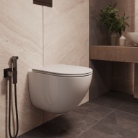 Унитаз подвесной Бьен (Bien) VT1-56TFS Торнадо, цвет белый, ультратонкое микролифт сиденье